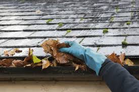 Gutter Cleaning For Home Maintenance