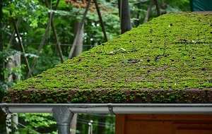 Eco Friendly Gutter Solutions